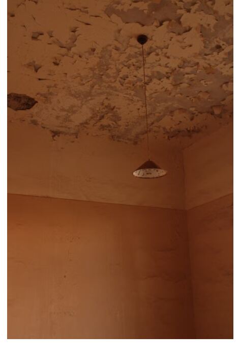 Water-damaged ceiling with peeling paint and staining from a roof or plumbing leak